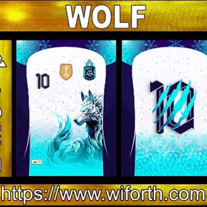 WOLF INTERCLASSE ARGENTINA