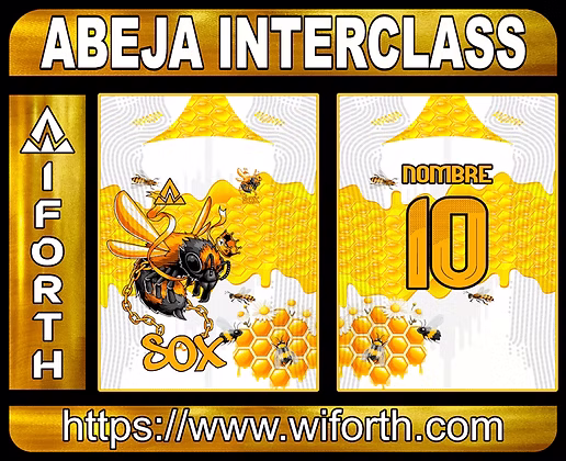 ABEJA INTERCLASS