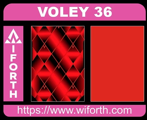 VOLEY 036