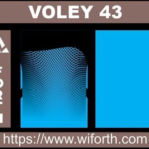 VOLEY 043
