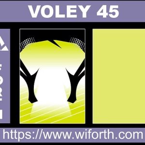 VOLEY 045