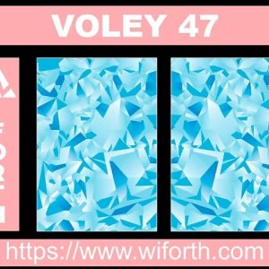 VOLEY 047