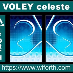 VOLEY CELESTE Y AZUL.CDR.VERSAO
