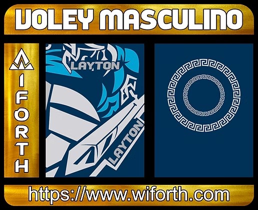 VOLEY MASCULINO