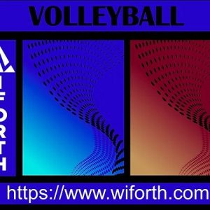 VOLLEYBALL ALFTONE DEGRADE