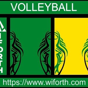 VOLLEYBALL CAMISETA PERSONALIZADO