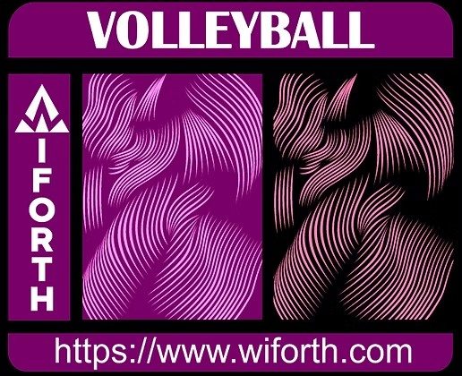 VOLLEYBALL LINES CONCEPT