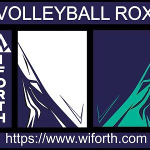 VOLLEYBALL ROX CONCEPT VECTOR
