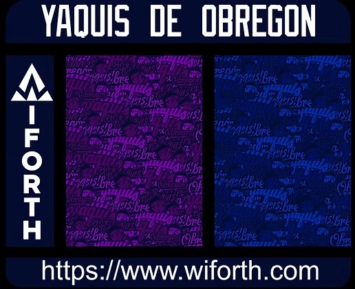 YANQUIS DE OBREGON DESINGS