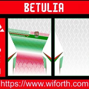 ALCALDIA DE BETULIA DESIGN CONCEPT