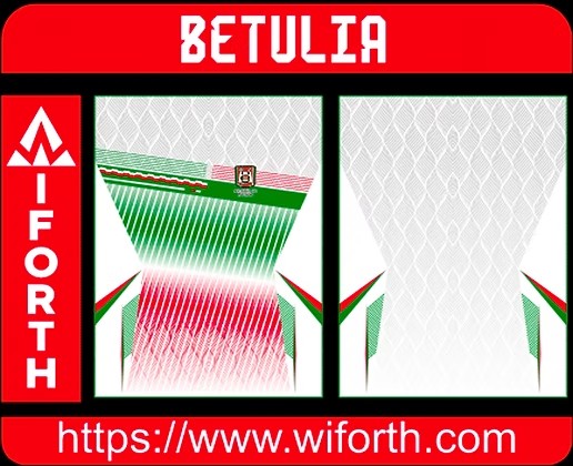 ALCALDIA DE BETULIA DESIGN CONCEPT
