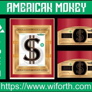 AMERICAN MONEY DESING CDR