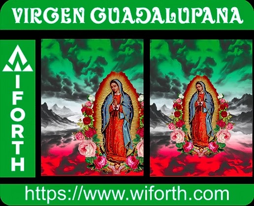 VIRGEN GUADALUPANA