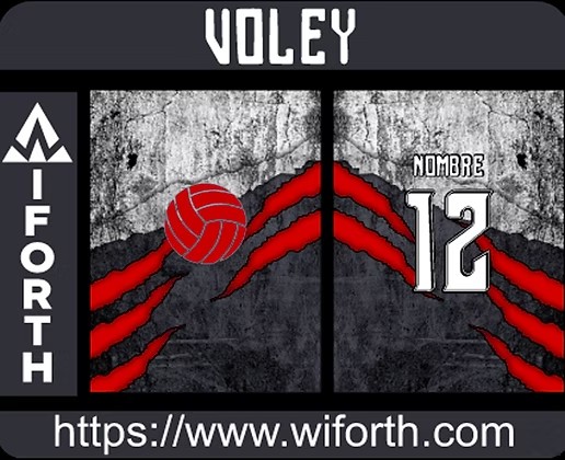 VOLEY DESIGN GRUNGE CONCEPT