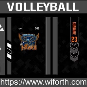 VOLLEYBALL CONCEPT