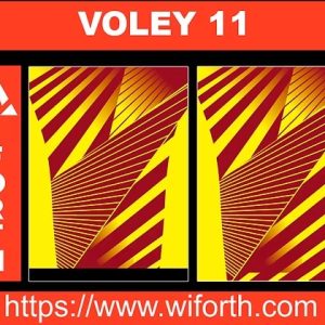 VOLEY 011