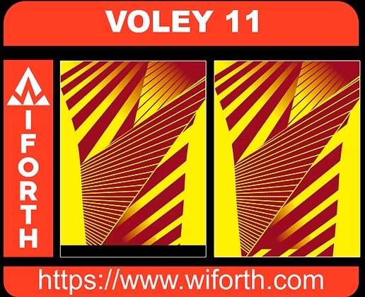 VOLEY 011