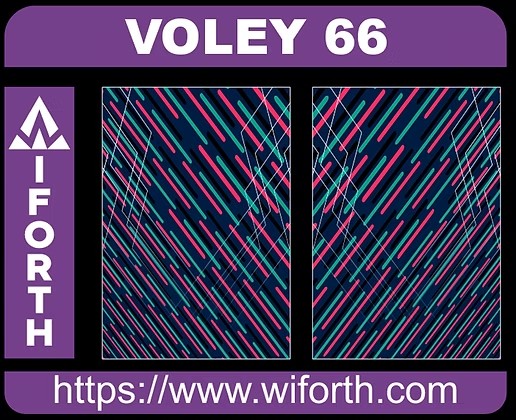 VOLEY 066