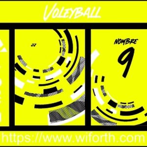 VOLLEYBALL GEO MATRIX