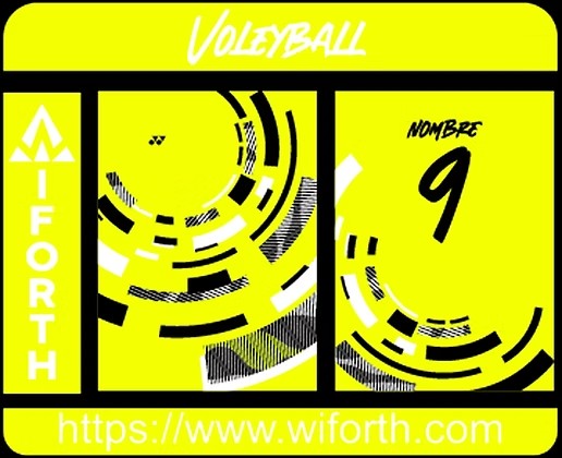 VOLLEYBALL GEO MATRIX
