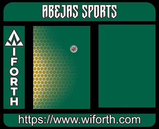 ABEJAS SPORTS