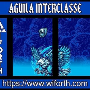 AGUILA INTERCLASSE