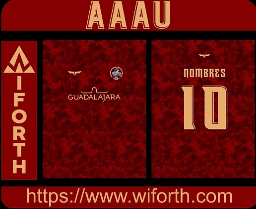 AAAU Sports Concept
