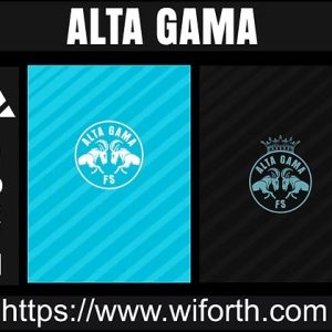 ALTA GAMA SPORTS DESING