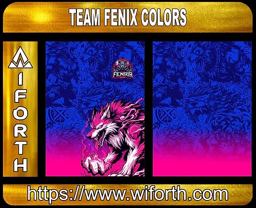 TEAM FENIXR