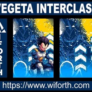 VEGETA INTERCLASS