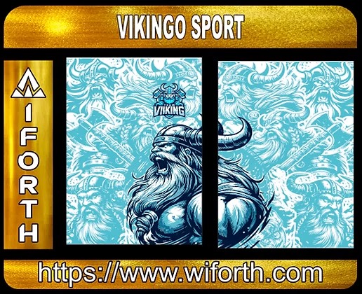 VIKINGO SPORT