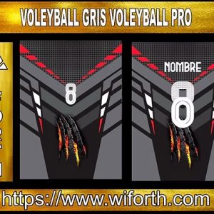 VOLEYBALL GRIS VOLEYBALL PRO