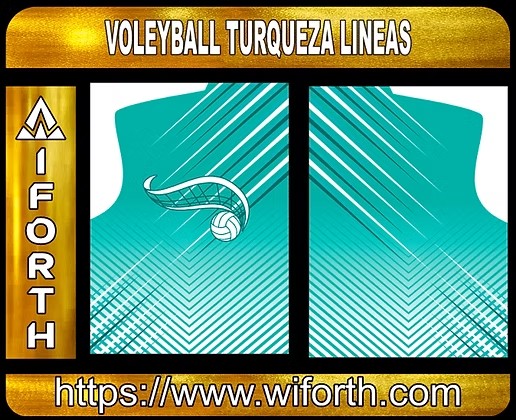 VOLEY TURQUEZA LINEAS