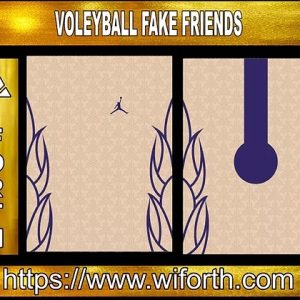 VOLLEYBALL FAKE FRIENDS