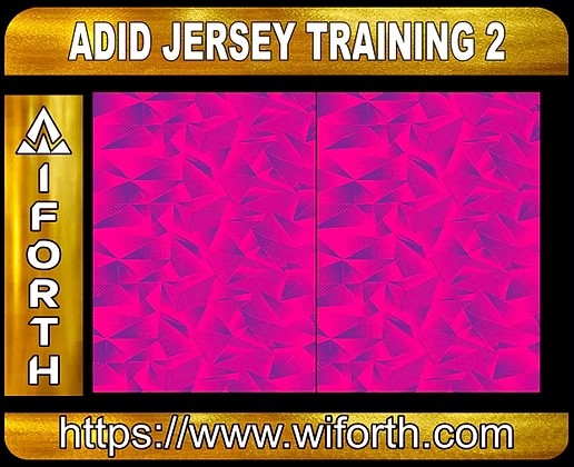 ADID JERSEY TRAINING 2 PRO
