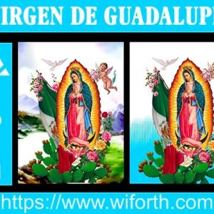 VIRGEN DE GUADALUPE DESIGN CONCEPT MX