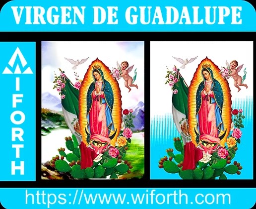 VIRGEN DE GUADALUPE DESIGN CONCEPT MX