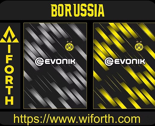 BORUSSIA DORTMUND 2023 LINES CONCEPT