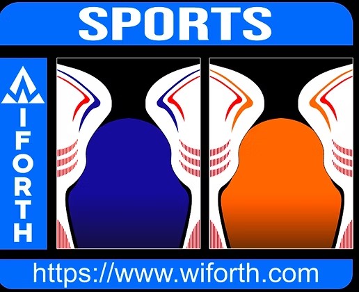 GOALKEEPER SPORT CONCEPT