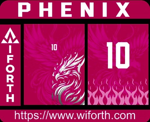 JERSEY PHENIX PINK LLAMAS