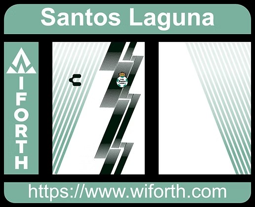 SANTOS LAGUNA - LINEAS