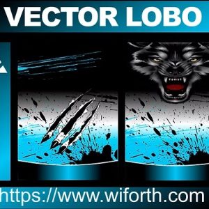 VECTOR LOBO