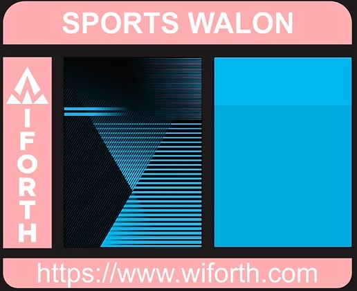 VECTOR SPORT JERSEY WALON