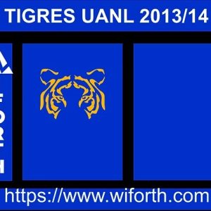 VECTOR TIGRES UANL 2013 14