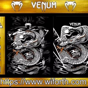 VEMUN DRAGON
