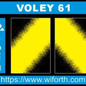 VOLEY061