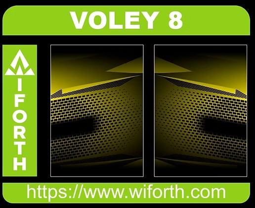 VOLEY 008
