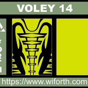 VOLEY 014