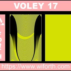 VOLEY 017