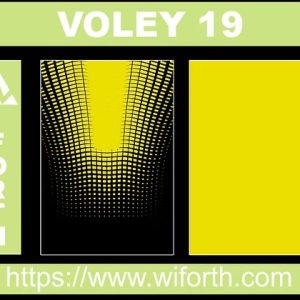 VOLEY 019